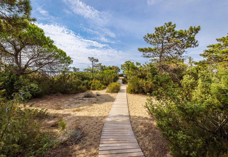 Villa Dei Pini: Balcony / Terrace / Patio, Building Exterior, Garden, Outdoor, Pool, Spring, Summer