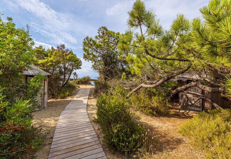 Villa Dei Pini: Balcony / Terrace / Patio, Building Exterior, Garden, Outdoor, Pool, Spring, Summer