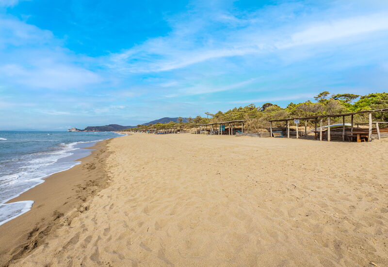 Villa Dei Pini: Balcony / Terrace / Patio, Building Exterior, Garden, Outdoor, Pool, Spring, Summer