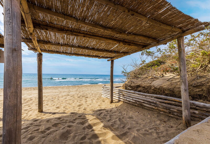 Villa Dei Pini: Balcony / Terrace / Patio, Building Exterior, Garden, Outdoor, Pool, Spring, Summer