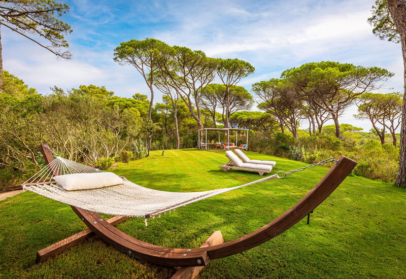 Villa Dei Pini: Balcony / Terrace / Patio, Building Exterior, Garden, Outdoor, Pool, Spring, Summer