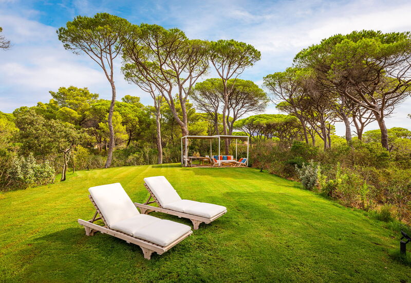 Villa Dei Pini: Balcony / Terrace / Patio, Building Exterior, Garden, Outdoor, Pool, Spring, Summer