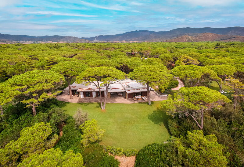 Villa Dei Pini: Balcony / Terrace / Patio, Building Exterior, Garden, Outdoor, Pool, Spring, Summer