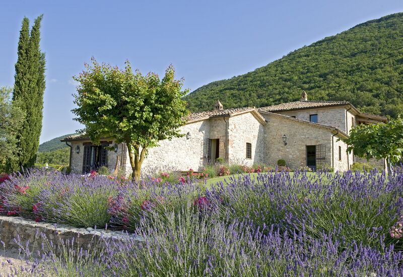 Villa Superba: Activities, Amenities, Balcony / Terrace / Patio, Building Exterior, Facilities, Garden, Pool, Spring, Summer