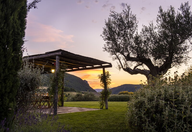 Villa Camino: Aktiviteter, Balkong / terrasse / uteplass, basseng, Eksteriør, Fasiliteter, Sommer, Vår