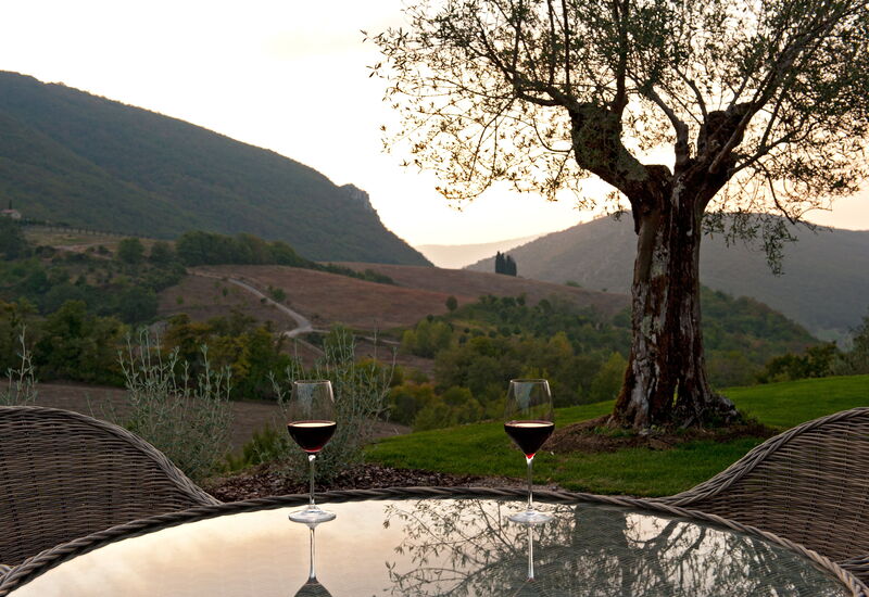 Villa Camino: Aktiviteter, Balkong / terrasse / uteplass, basseng, Eksteriør, Fasiliteter, Sommer, Vår