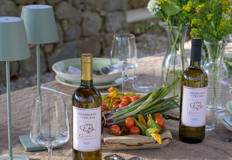 Villa Collalto 12: Aktiviteter, Balkong / terrasse / uteplass, Eksteriør, Fasiliteter, Hage, Hovedinngang, Mat, Sommer, Vår