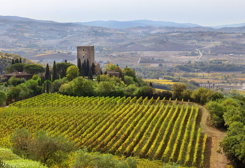 Villa Del Vin Santo 22