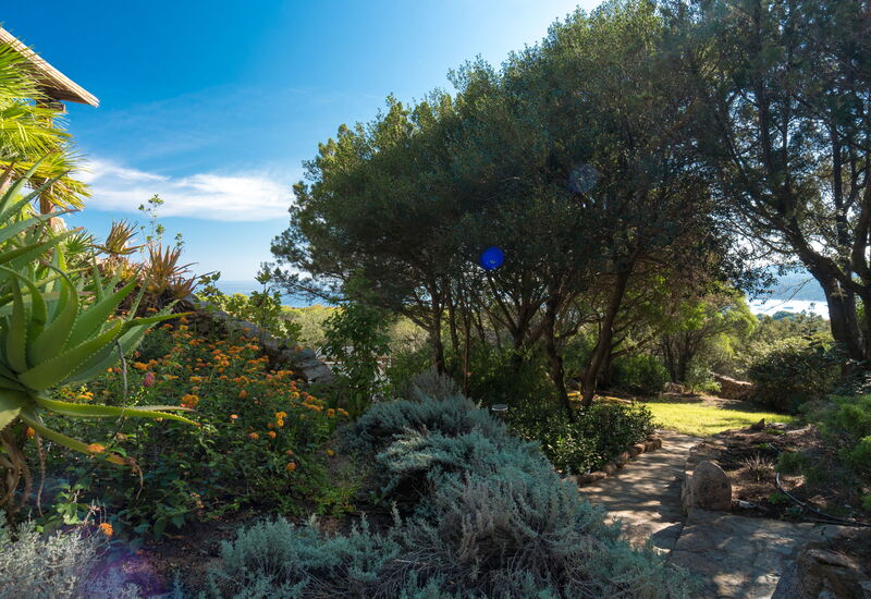 Villa Rosmarino: Activities, Amenities, Balcony / Terrace / Patio, Building Exterior, Pool, Spring, Summer, Wellness