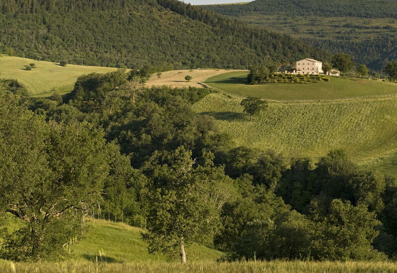 Villa Paride: Aktiviteter, Balkong / terrasse / uteplass, basseng, Eksteriør, Fasiliteter, Hage, Mennesker, Sommer, Vår, Velferd, Visningar