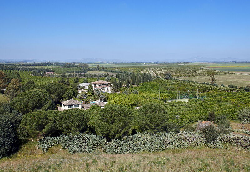 Villa Naxos: Aktiviteter, Balkong / terrasse / uteplass, basseng, Eksteriør, Fasiliteter, Hage, Hovedinngang, Mennesker, Sommer, Vår, Velferd