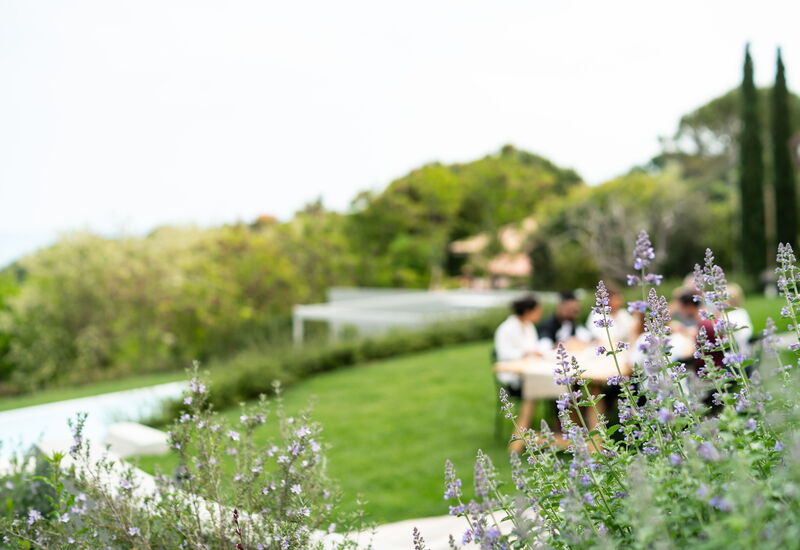 Villa Vecchioni: Activities, Amenities, Balcony / Terrace / Patio, Building Exterior, Facilities, Food, Pool, Spring, Summer, Wellness