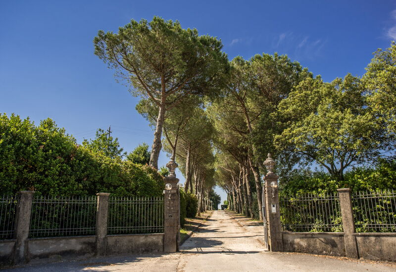 Villa Aldrovandi: Activities, Amenities, Balcony / Terrace / Patio, Building Exterior, Facilities, Garden, Outdoor, Pool, Spring, Summer