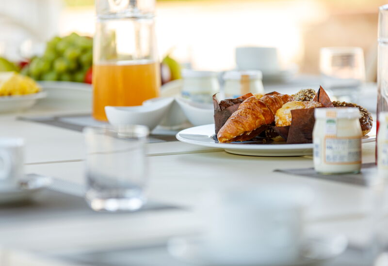 Villa Solina: Activités, Agréments, Balcon / Terrasse / Patio, bassin, Été, Extérieurs, Installations, Jardin, Printemps