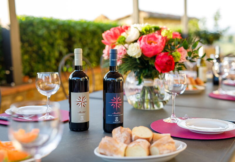 Villa Solina: Activités, Agréments, Balcon / Terrasse / Patio, bassin, Été, Extérieurs, Installations, Jardin, Printemps