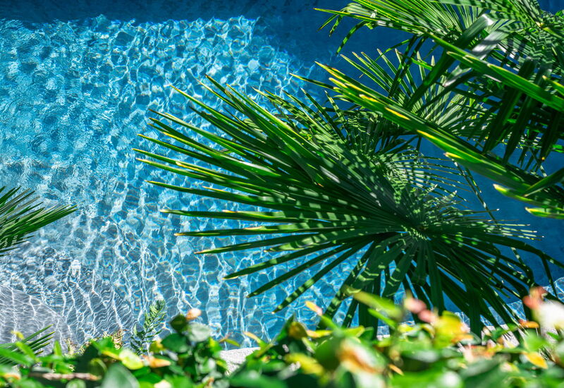 Villa Maestosa: Aktiviteter, basseng, boblebad, Eksteriør, Fasiliteter, Hage, Hovedinngang, Planimetría, Sommer, Vår