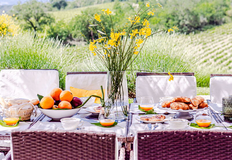 Villa Bolgheri: Activities, Amenities, Balcony / Terrace / Patio, Building Exterior, Garden, Hot Tub, Main Entrance, Outdoor, Pool, Room Detail, Scenic View, Spring, Summer, Wellness