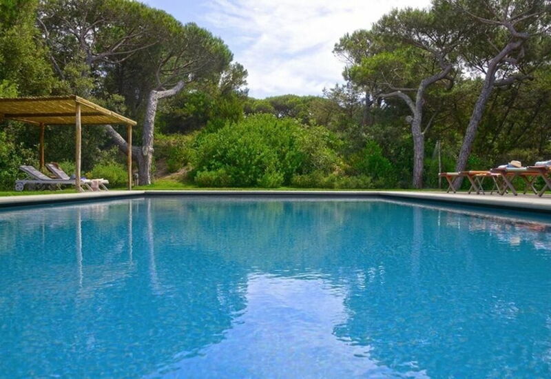 Villa Bibbona: Balkong / terrasse / uteplass, basseng, Eksteriør, Hage, Sommer, Utendørs, Vår