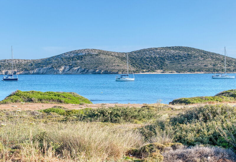 Alma: basseng, Eksteriør, Fasiliteter, Hage, Sommer, Vår