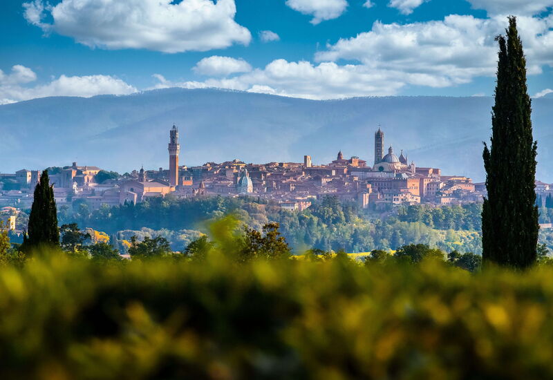 Villa Nero Scopeti: Activities, Balcony / Terrace / Patio, Building Exterior, Garden, Main Entrance, Spring, Summer