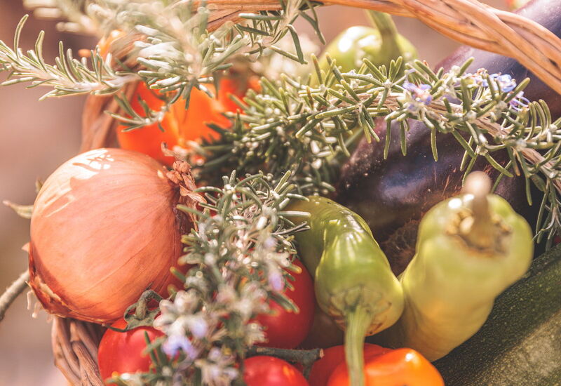 Villa Macchie: Activities, Balcony / Terrace / Patio, Building Exterior, Garden, Main Entrance, Pool, Spring, Wellness