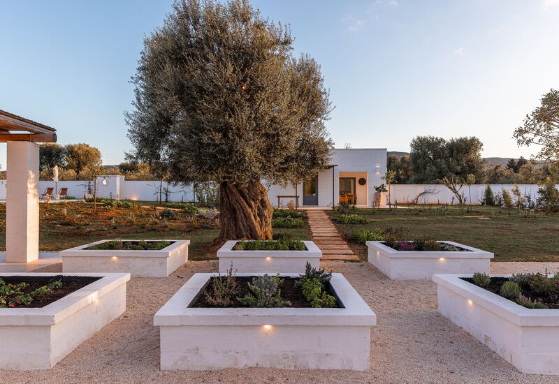 Villa Arancio: Activities, Amenities, Balcony / Terrace / Patio, Building Exterior, Facilities, Food, Kitchen, Pool, Spring, Summer, Wellness