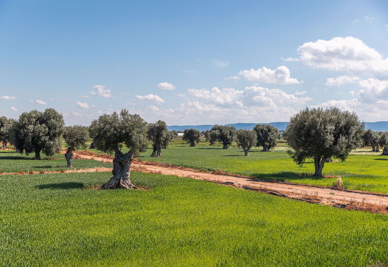 Villa Sensation Green: Activities, Amenities, Balcony / Terrace / Patio, Building Exterior, Main Entrance, Pool, Spring, Summer, Wellness