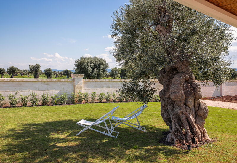 Villa Sensation Green: Activities, Amenities, Balcony / Terrace / Patio, Building Exterior, Main Entrance, Pool, Spring, Summer, Wellness