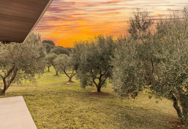 Villa Valeria: Activities, Building Exterior, Facilities, Main Entrance, Pool, Spring, Summer