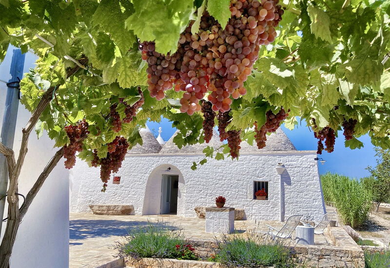 Trullo Francesca: Activities, Amenities, Balcony / Terrace / Patio, Building Exterior, Garden, Pool, Spring, Summer