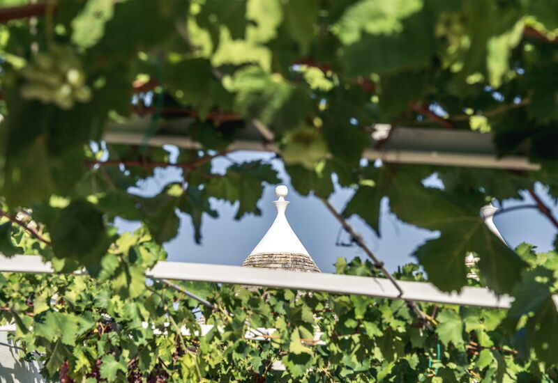 Trullo Francesca: Activities, Amenities, Balcony / Terrace / Patio, Building Exterior, Garden, Pool, Spring, Summer