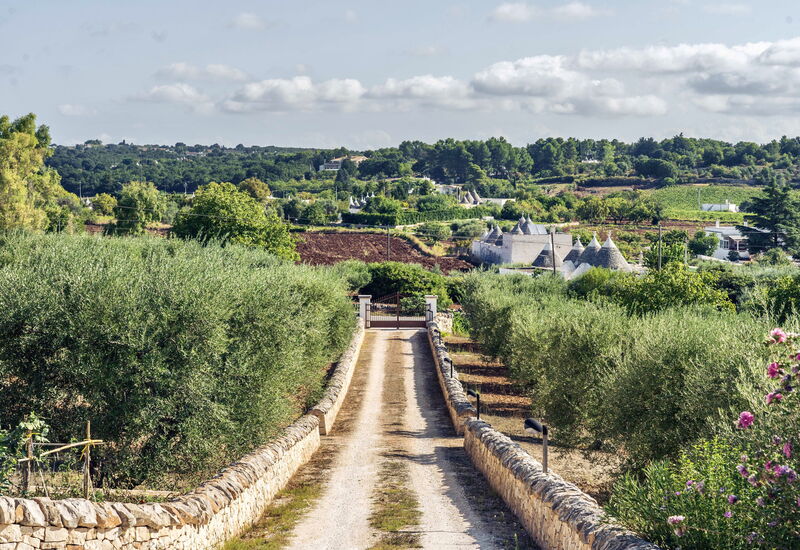Trullo Francesca: Activities, Amenities, Balcony / Terrace / Patio, Building Exterior, Garden, Pool, Spring, Summer
