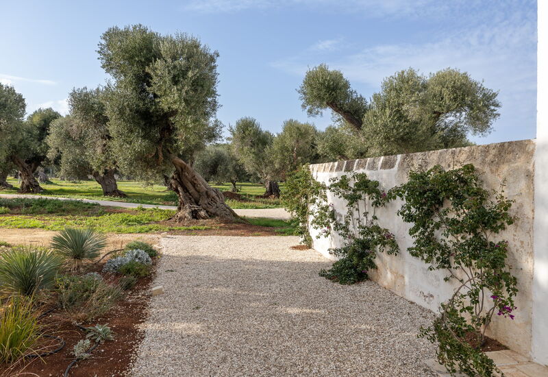 Villa Carratelli: Activities, Amenities, Balcony / Terrace / Patio, Building Exterior, Facilities, Garden, Main Entrance, Spring, Summer, Wellness