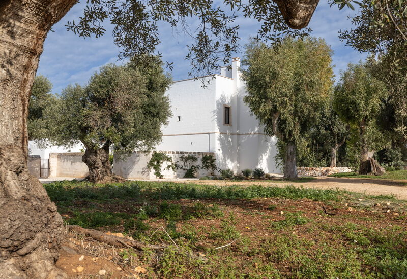 Villa Carratelli: Activities, Amenities, Balcony / Terrace / Patio, Building Exterior, Facilities, Garden, Main Entrance, Spring, Summer, Wellness