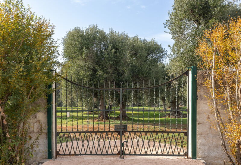 Villa Carratelli: Activities, Amenities, Balcony / Terrace / Patio, Building Exterior, Facilities, Garden, Main Entrance, Spring, Summer, Wellness