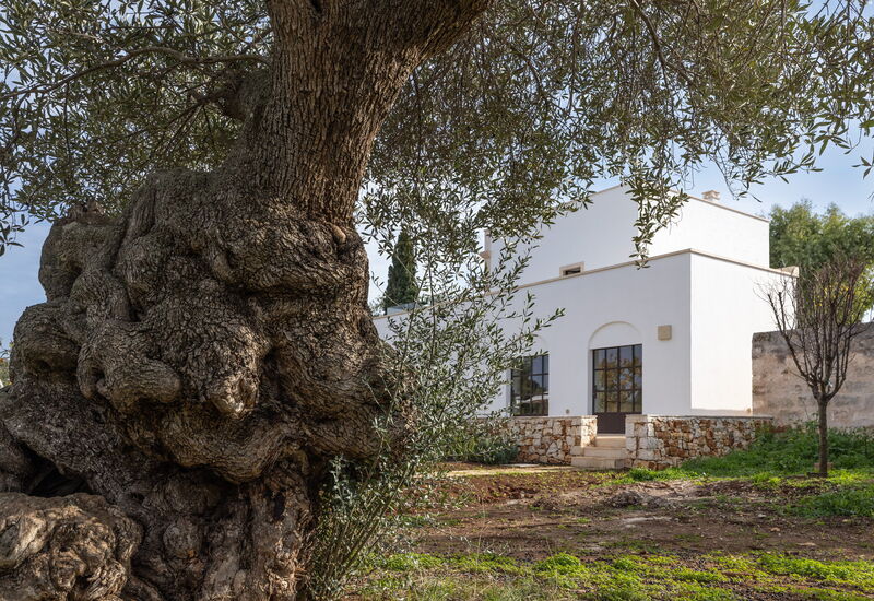 Villa Carratelli: Activities, Amenities, Balcony / Terrace / Patio, Building Exterior, Facilities, Garden, Main Entrance, Spring, Summer, Wellness