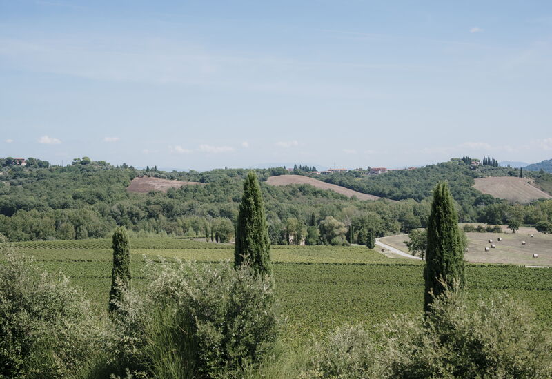 Villa Demetra: Activities, Balcony / Terrace / Patio, Building Exterior, City, Facilities, Garden, Kitchen, Pool, Spring, Summer, Wellness