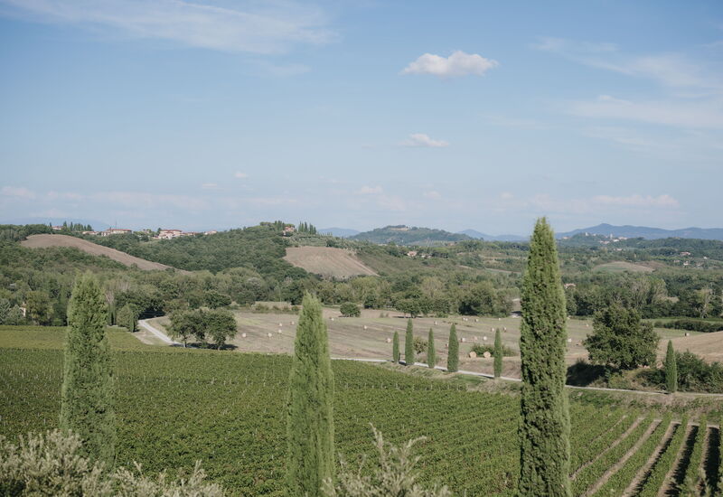 Villa Demetra: Activities, Balcony / Terrace / Patio, Building Exterior, City, Facilities, Garden, Kitchen, Pool, Spring, Summer, Wellness