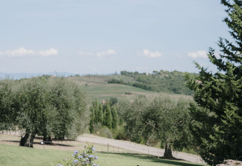 Villa Demetra: Activities, Balcony / Terrace / Patio, Building Exterior, City, Facilities, Garden, Kitchen, Pool, Spring, Summer, Wellness