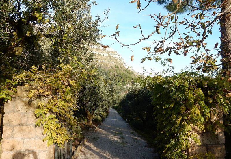 Villa Serini: Activities, Amenities, Balcony / Terrace / Patio, Building Exterior, Garden, Main Entrance, Spring, Summer