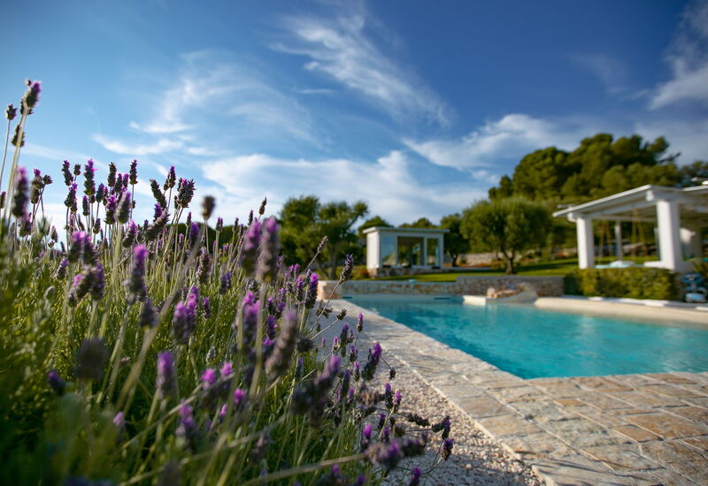 Villa Bernardi: Amenities, Balcony / Terrace / Patio, Building Exterior, Facilities, Garden, Outdoor, Pool, Spring, Summer, Wellness