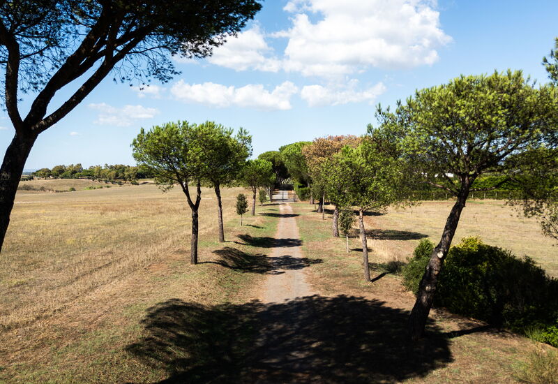 Villa Orange Rome: Amenities, Balcony / Terrace / Patio, Building Exterior, Facilities, Garden, Outdoor, Pool, Room Detail, Spring, Summer