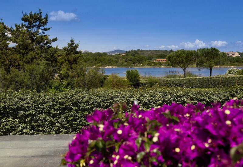 Villa Magno: Aktiviteter, Balkong / terrasse / uteplass, basseng, Eksteriør, Fasiliteter, Sommer, Vår, Velferd